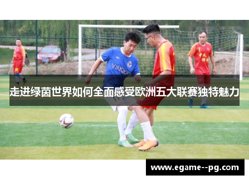 走进绿茵世界如何全面感受欧洲五大联赛独特魅力 走进绿茵世界如何全面感受欧洲五大联赛独特魅力